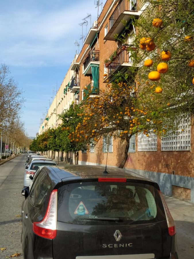 科爾多瓦 Apartamento Turistico酒店 外观 照片